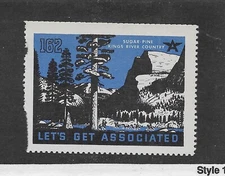 USA SUGAR PINE KINGS RIVER COUNTRY (CC918)