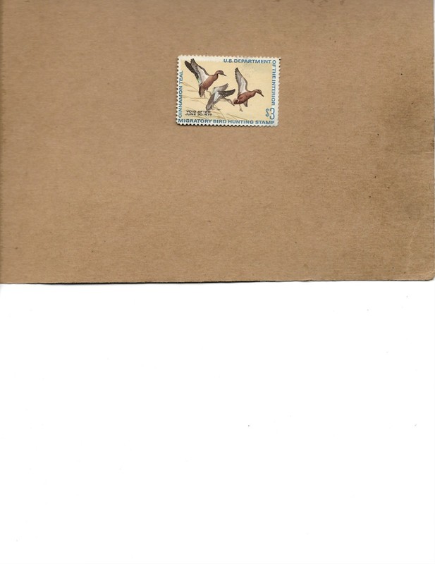 RW 38 FEDERAL DUCK STAMP MNH