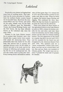 The Lakeland Terrier - CUSTOM MATTED - Vintage Dog Art Print - "G"