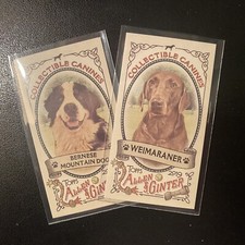 2019 Topps Allen & Ginter Collectible Canines LOT (2) Bernese 18 Weimaraner 21