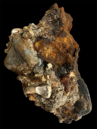 SHIPWRECK 1600s Musket Bullet Clump Dutch East India Company Colonial Era Campen - Picture 6 of 6