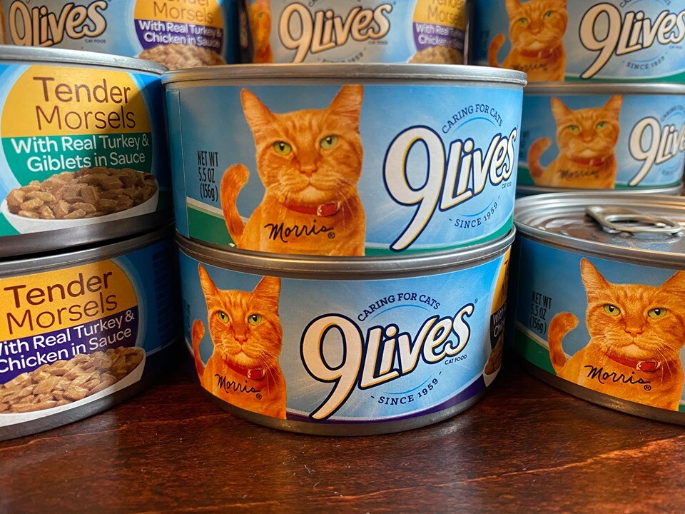 9 lives tuna and egg cat food
