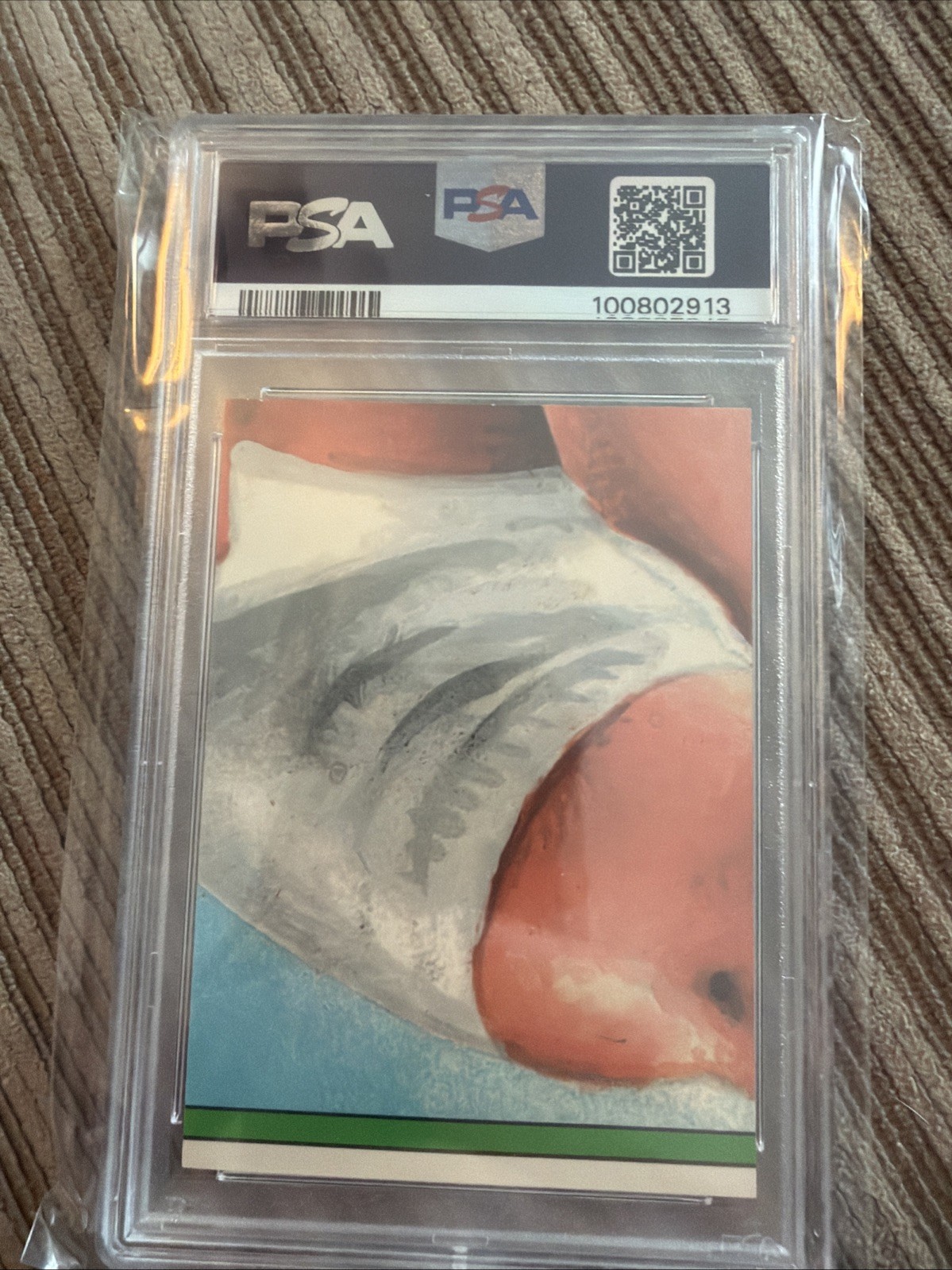 1986 Topps Garbage Pail Kids Dry Guy Stickers #146B PSA 8 Grade view 2