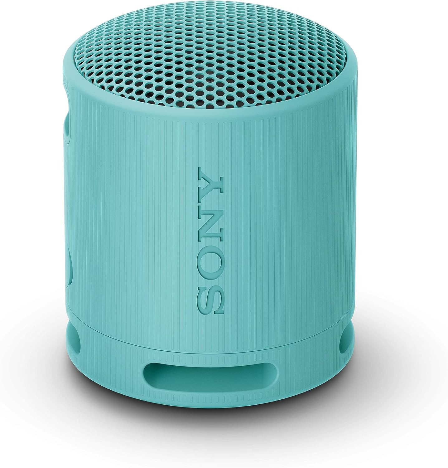Offerta Sony SRS-XB100 Altoparlante Wireless Bassi Potenti IP67