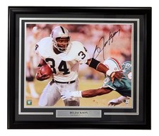Oakland Raiders Collecting and Fan Guide 87