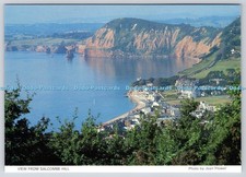 L344532 Blick vom Salcombe Hill Jeans Flower Judges C 9530 X