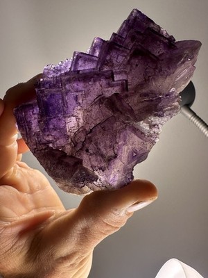 Large Purple Cubic Fluorite Cluster With Phantoms From Minerva 1 Mine Illinois!