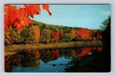Cook Forest State Park PA-Pennsylvania, Clarion River, Vintage c1955 Postcard
