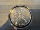 2013 1 oz Silver American Eagle - In Stock Shipping Now!