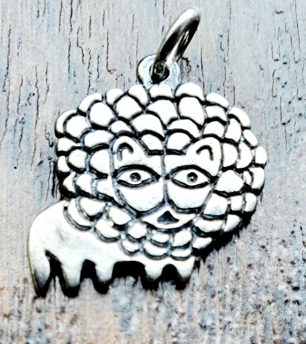 Lion charm hotsell james avery