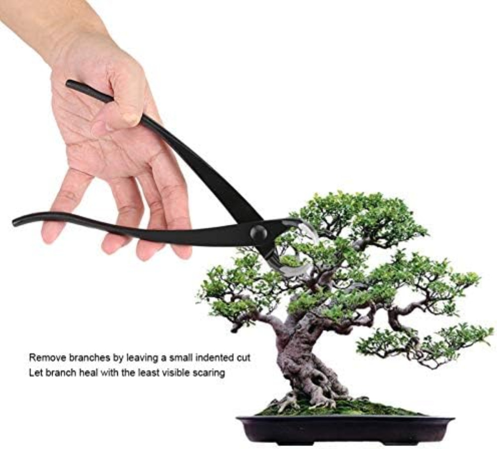Attrezzo per Potatura Bonsai Pinze Manico Lega Acciaio - Offerta Online