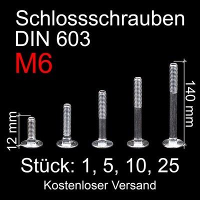 Schlossschrauben M6 verzinkt Flachrundkopfschrauben 1 - 25 Stück Stahl DIN 603 