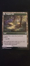 Magic the Gathering Card