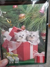 Box of 18 Christmas Cards: Century Greetings Kitties Cats in Gift Box by Tree