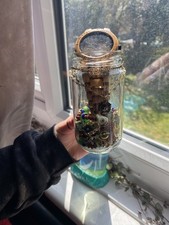 Good And Green Costume Jewellery Mystery Jar Second Hand Jewellery Bundle
