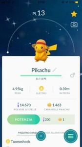 Shiny Pikachu One Piece Straw Hat Pokemon Go Limited Ed Level 1 For Collectors Ebay