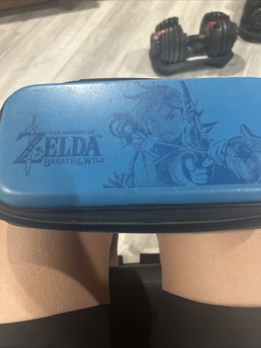 Zelda Breath of the Wild Nintendo Switch Case | eBay