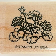 Stampin Up Rubber Stamp Geranium Plant Flowers Garden Outdoors Little by Little
