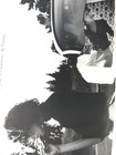 Foto 11 di 12