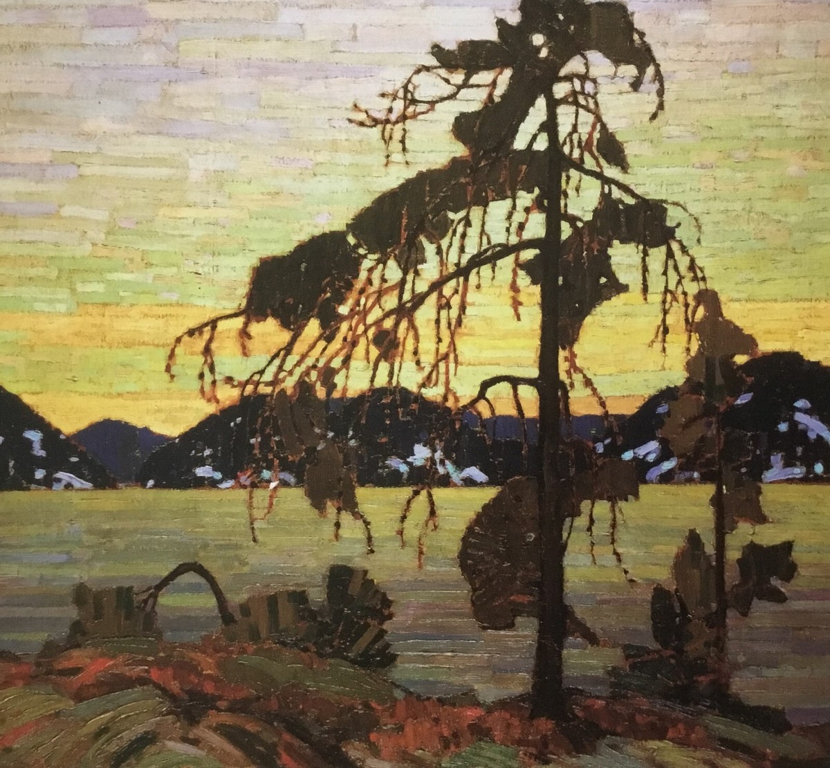 s-l1200.jpg