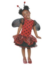 Infant Toddler Girls Little Ladybug Costume with Dress Wings Headband