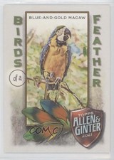 2021 Topps Allen & Ginter's Birds of a Feather Blue-and-Gold Macaw #BOF-4 aj5