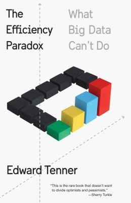 The Efficiency Paradox : What Big Data Can't Do Paperback Edward