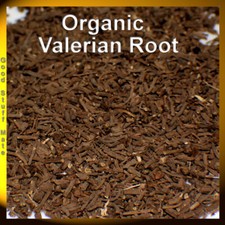 ORGANIC VALERIAN ROOT Valeriana officinalis Herbal Tea DRIED FRESH 100% Natural