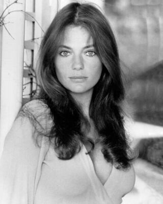 Jacqueline Bisset huge cleavage as Julie 1973 Day For Night 24x36 inch