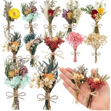 10 Pcs Dried Flowers for Crafts, Mini Dried Flowers Bouquet Bulk for Vase DIY...