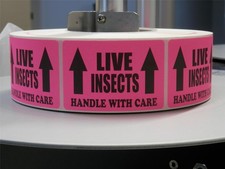 250 sticker, LIVE INSECTS HANDLE WITH CARE 2x3 Labels fluor. pink bkgd