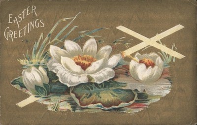 Easter Flowers Greetings with Water Lilies Illustration 1909 Attleboro, MA