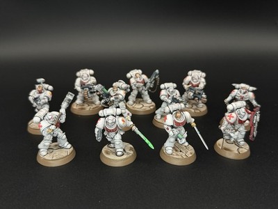 Warhammer 40K White Scars (Deathwatch) Kill Team Complete Roster Fully Painted