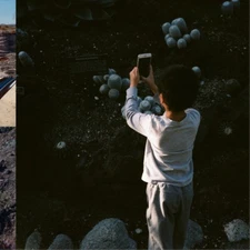 Mega Bog Life, and Another (CD) Album