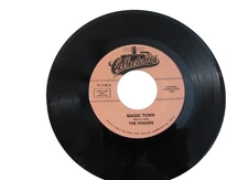 45 RECORD - THE VOGUES - MAGIC TOWN