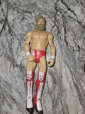 wwe action figure 2012 Daniel Bryan Read