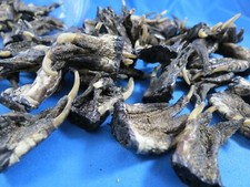 WHOLESALE LOT OF 12 cut SMALL FLORIDA GATOR A...