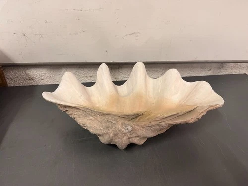 Uttermost Handmade Clam Shell 22-3/4" Wide Stone Accent Bowl # 19800 - Picture 10 of 12