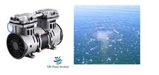 NEW Lake & Fish Pond Aeration Compressor / Vacuum Pump 72+ PSI 42 lpm 3.9+cfm!