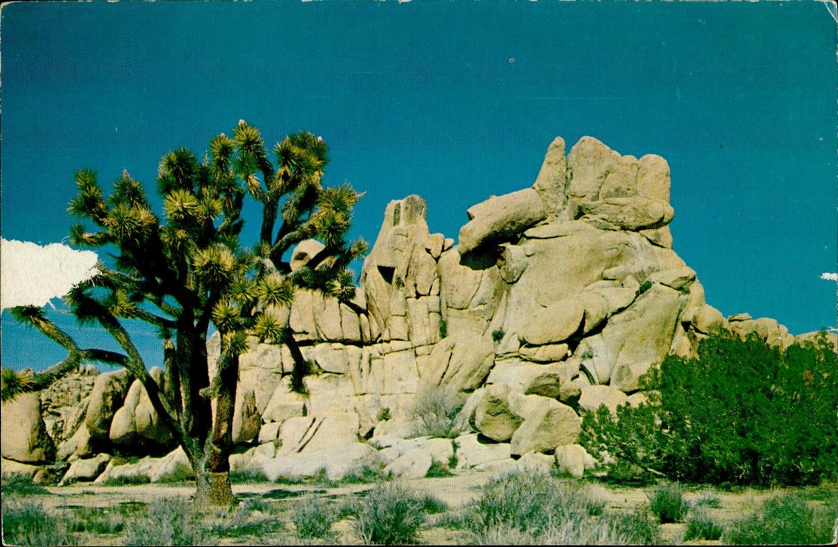 CE5281 joshua tree national monument yucca california usa | eBay