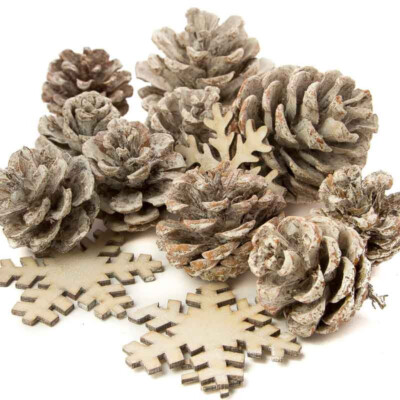 Approximately 30 pieces of Winter White Washed Pinecones and Snowflakes
