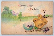 1925 Easter Chicks Hatched Egg Pipe Berry New York NY Vintage Posted Postcard
