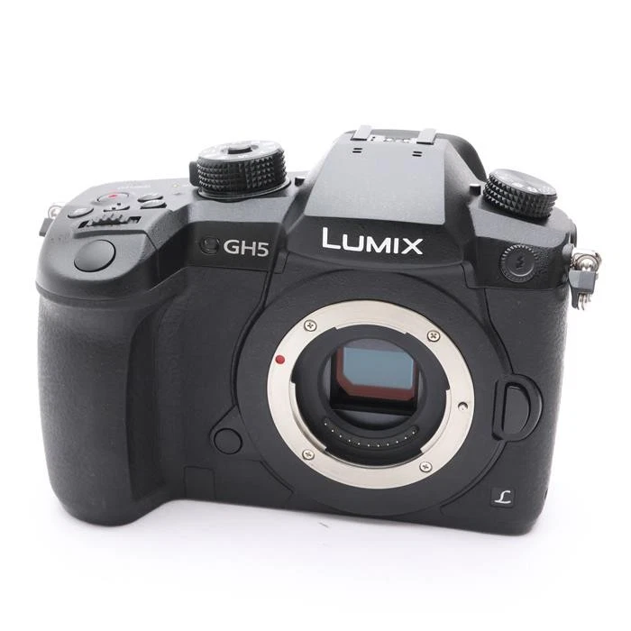 Panasonic LUMIX GH5 Digital Cameras for sale | eBay