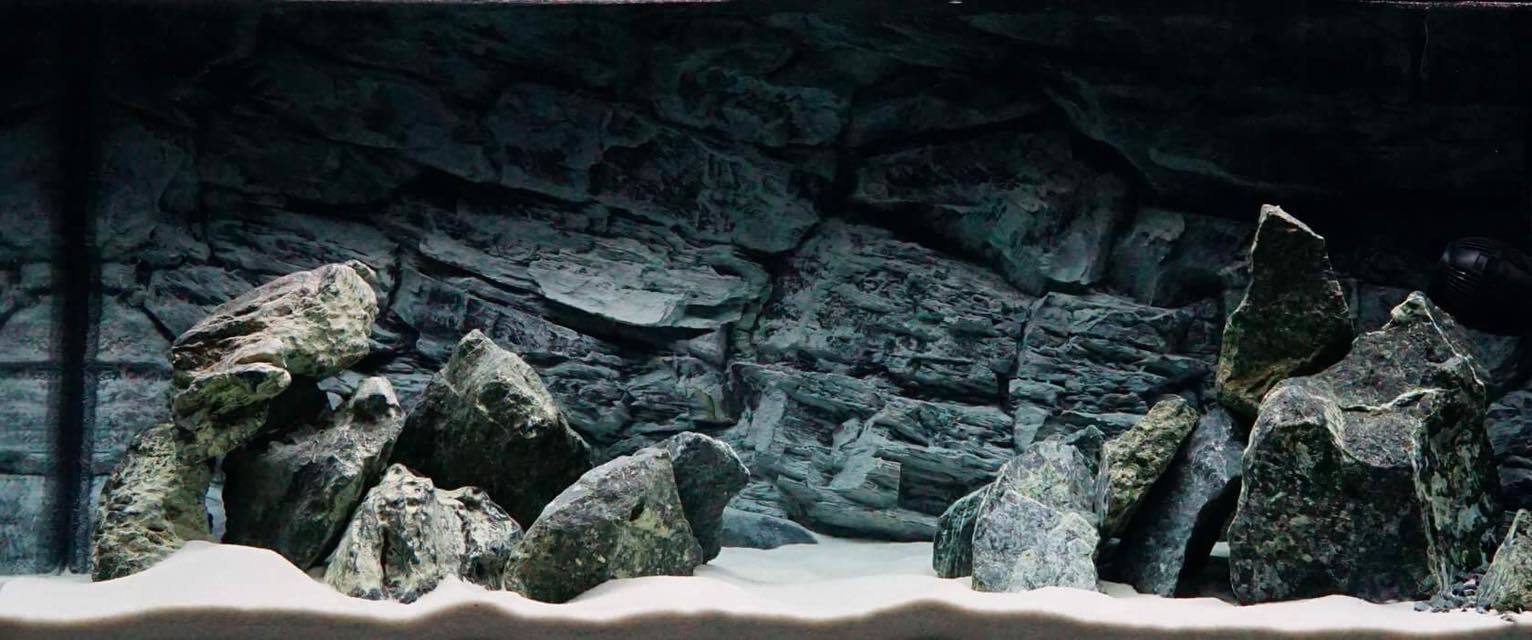 Fish Tank Stone Aquarium Rock Decoration Natural Ideal for Malawi GREEN ...