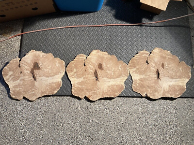 (3) 14  X 17  Box Elder? Elm? 1/4  Thick Sequence-cut Tree  Cookies