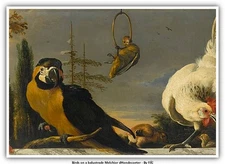 Birds on a balustrade Melchior dHondecoeter