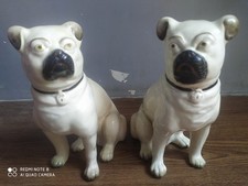 Rare vintage beautiful pair of pug dogs of 50's.