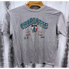 Vintage 90s Charlotte Hornets NBA T-Shirt XL Trench Ultra USA Made Gray Stripe