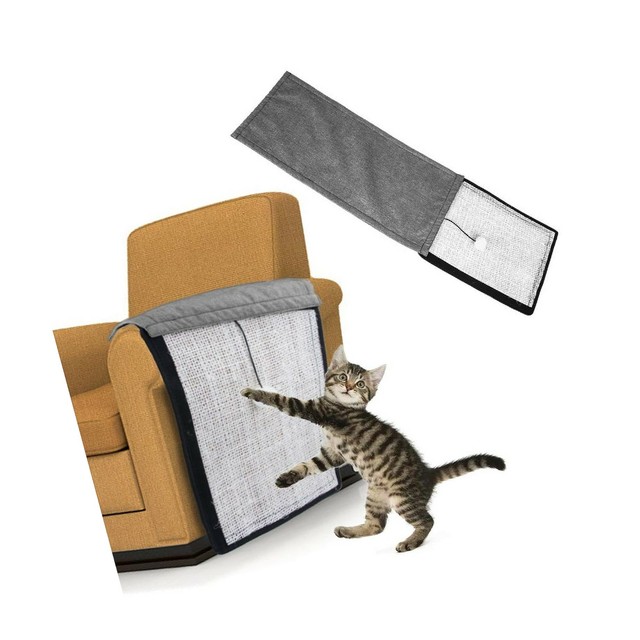 10 Carpal Pad Cat Purpose Gallery