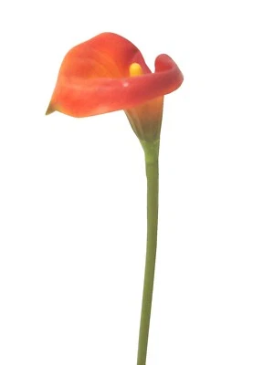 (01307-31329) ARTIFICIAL FLOR INDIVIDUAL CALA LILY LIRIO AGUA ALCATRAZ NARANJA - Imagen 1 de 2